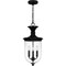 Quoizel Havana Outdoor Hanging 3 Lights Earth Black HVN1910EK - alternate 1